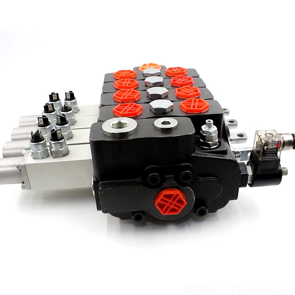 Sectional Directional Hydraulic Valve: DLS180 Micro Switch Manual 4 Spool image